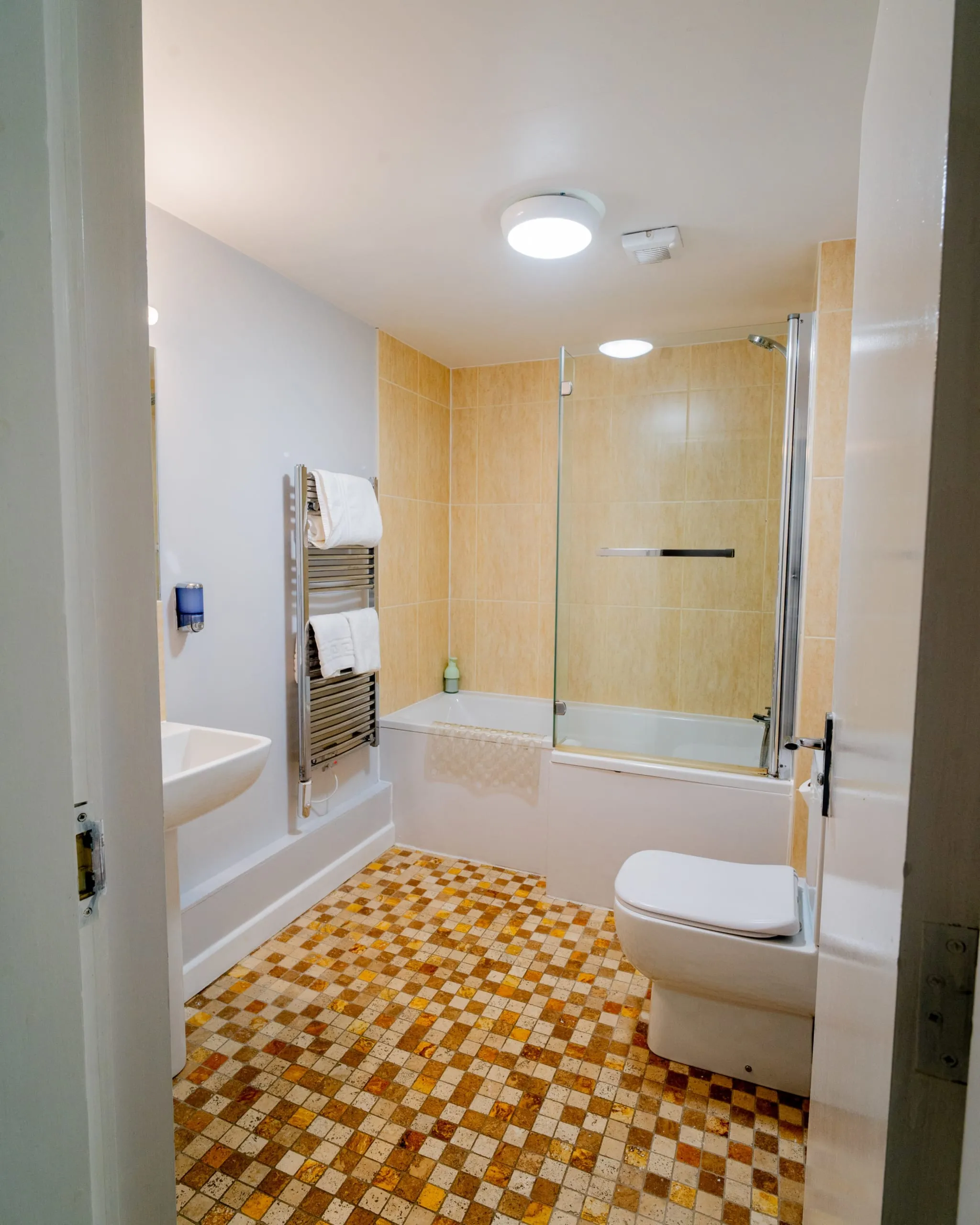 Premium Suite room image 9