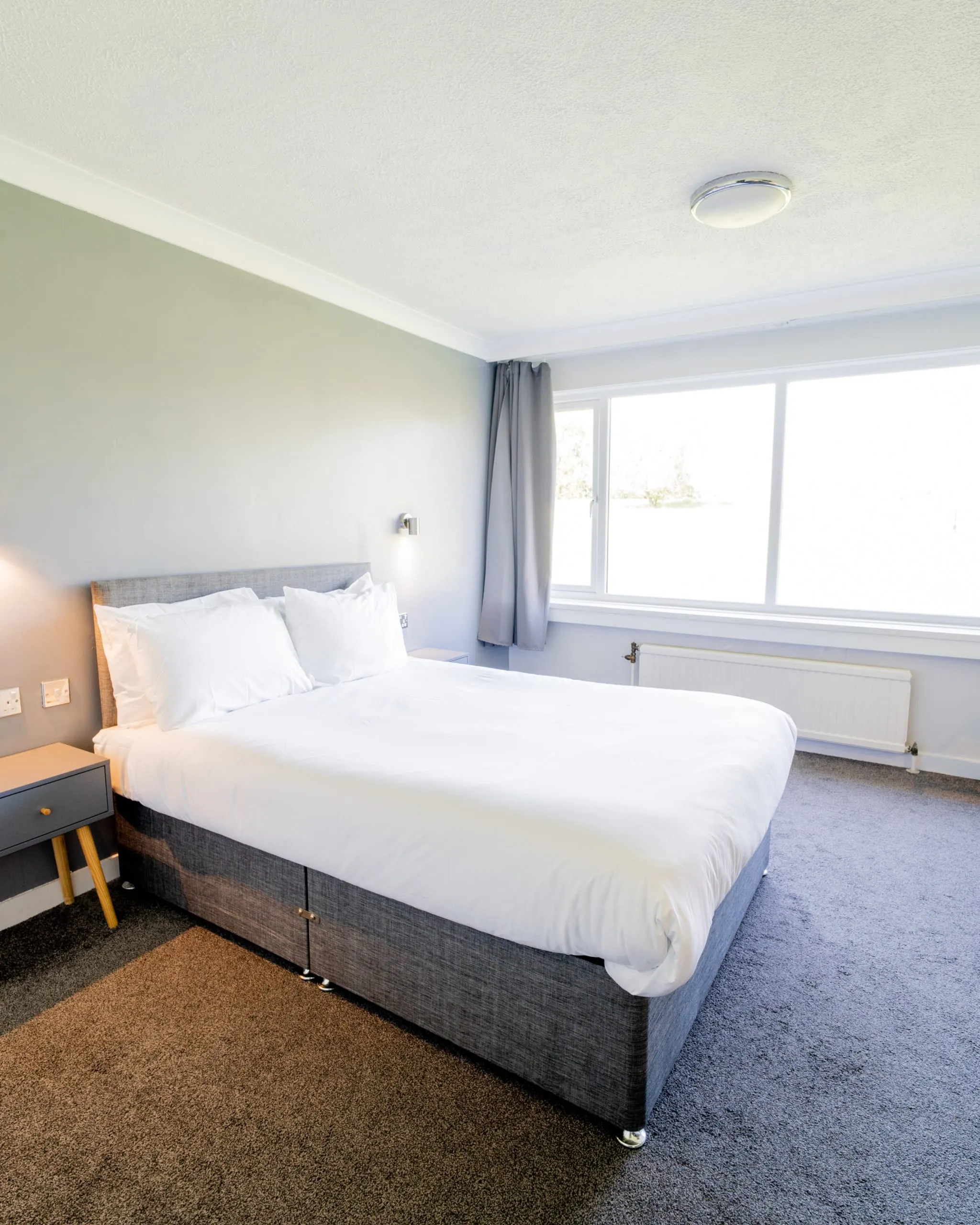 Premium Suite room image 3