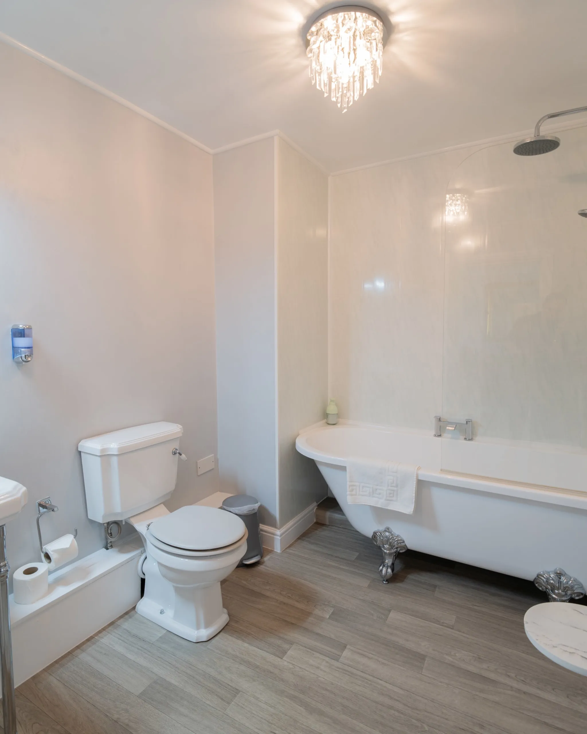 Premium Suite room image 10