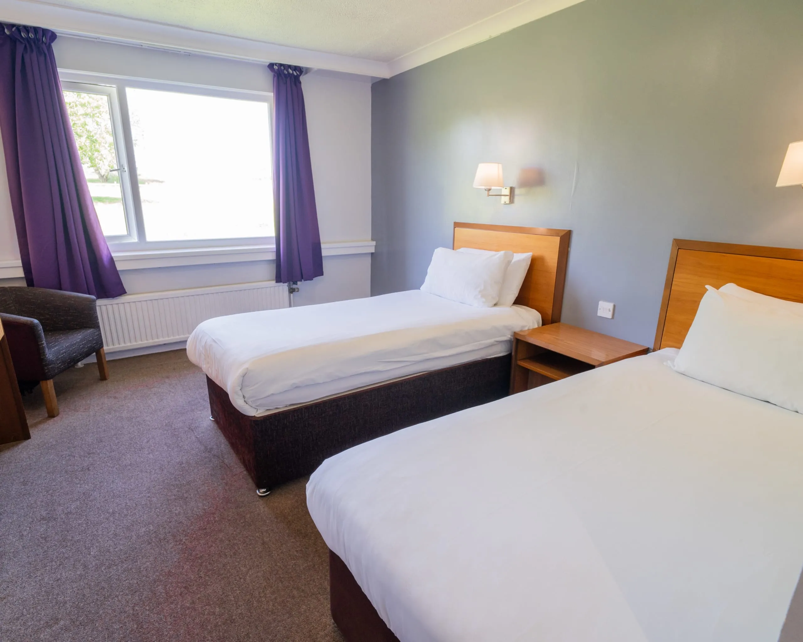 Twin Room room image 5